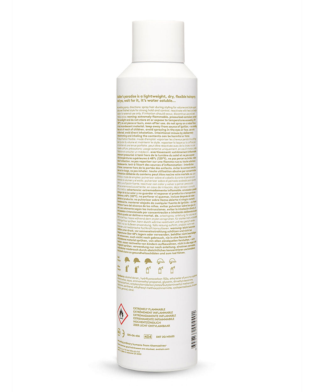 evo builder's paradise working spray 300ml