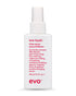 evo Love Touch Shine Spray 100ml