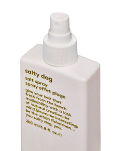 evo Salty Dog Salt Spray 200ml GF